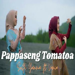 Download Mp3 Selfi Yamma - Pappaseng Tomatoa Ft Vania
