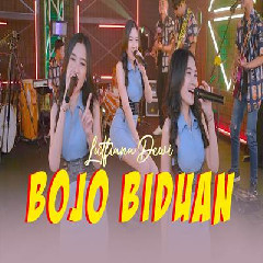 Download Mp3 Lutfiana Dewi - Bojo Biduan