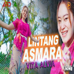 Download Mp3 Vita Alvia - Lintang Asmoro Remix Version