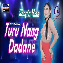 Download Mp3 Shepin Misa - Turu Nang Dadane